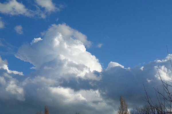 Кракен даркнет рекламы