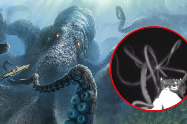 Кракен ссылка kraken dark link