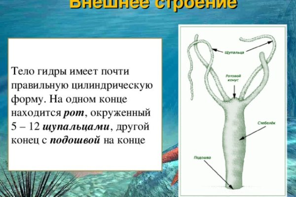 Кракен шеринг