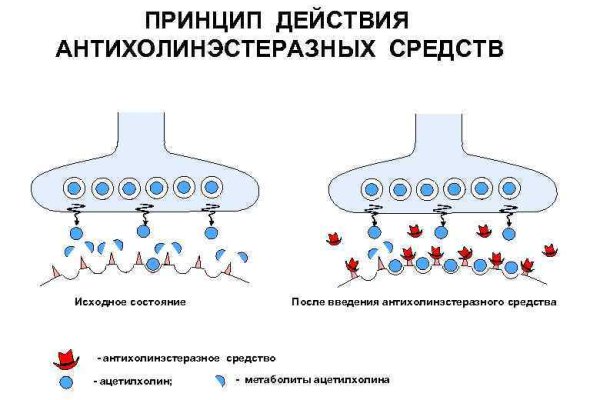 Кракен тор kr2web in